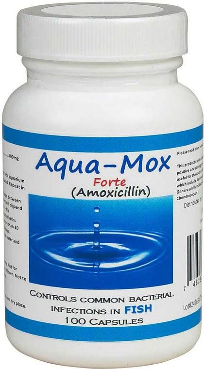 fish antibiotics amoxicillin